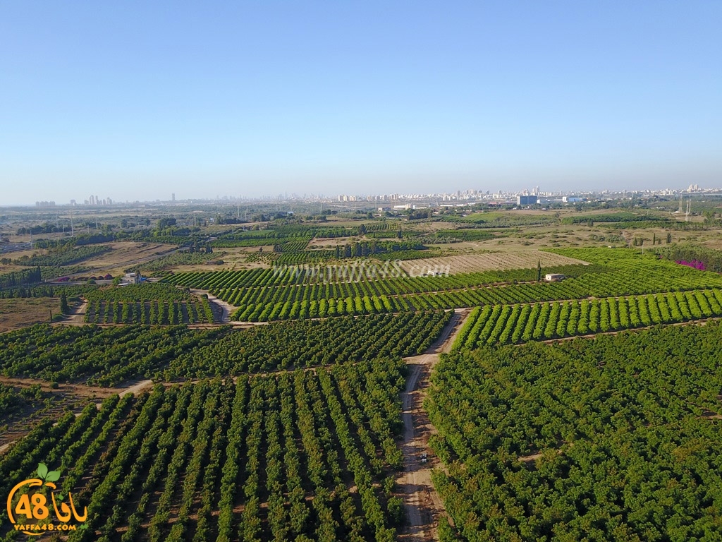 mokhayam hai2a (8).jpg